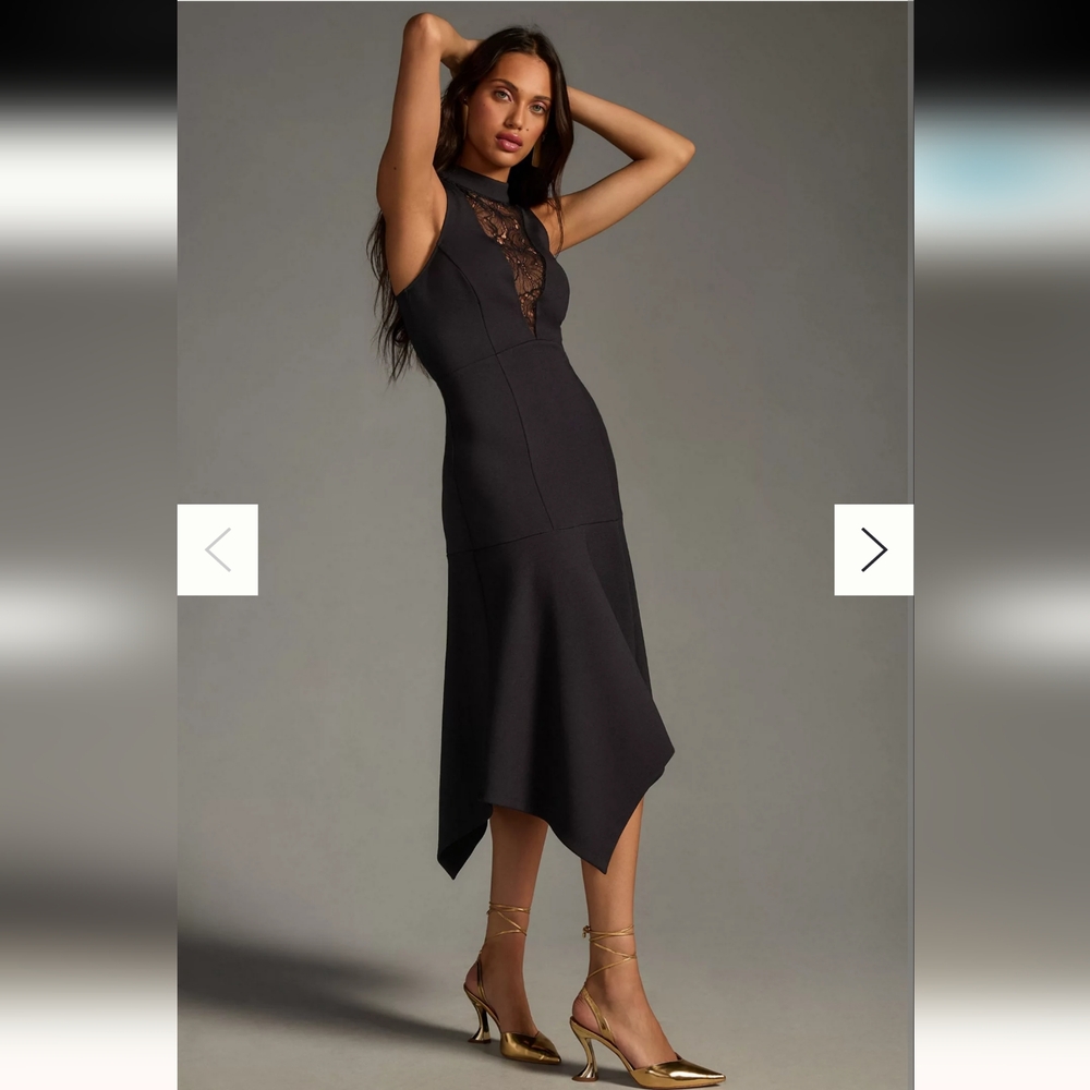 Nwt anthropologie fit and flare dress L